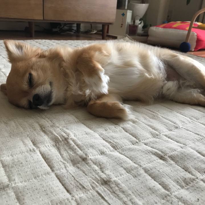 0f189ba2 28cd 4cc0 a3cf 5d315fb54fb9