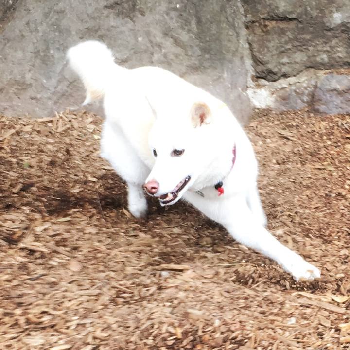 0f18d675 8ed6 4e28 b815 6f05cec7a9a7