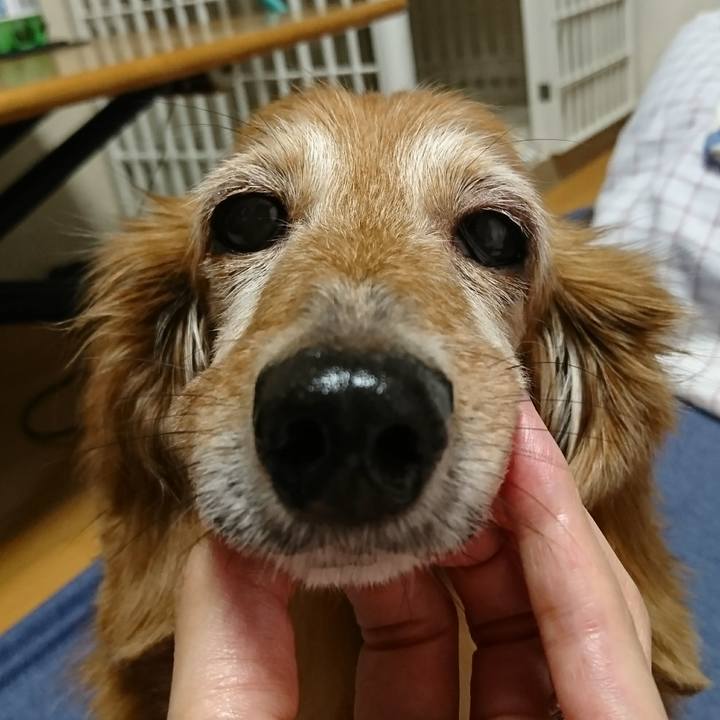 0f192f49 0cd5 49b9 9ed7 1779256d958d