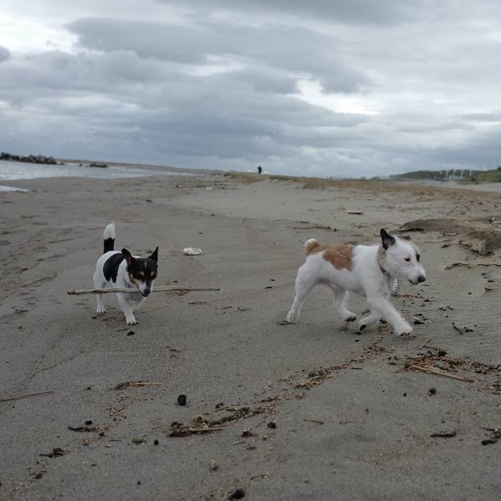 0f19b3b2 aac5 435e be9c e1658f8a4225