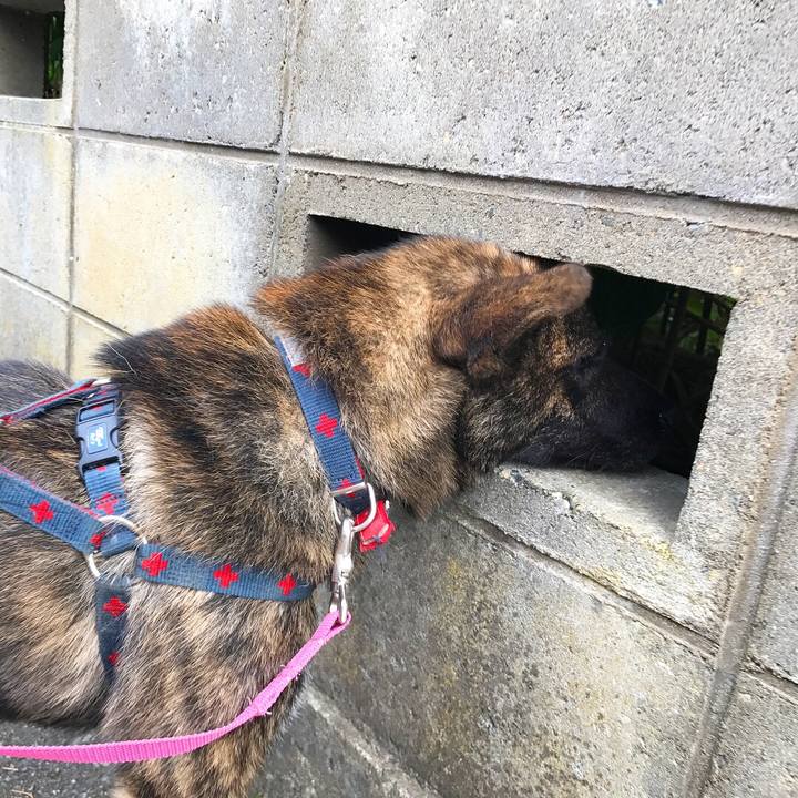 0f19cc35 a4fb 4736 858d e8066f8f43da