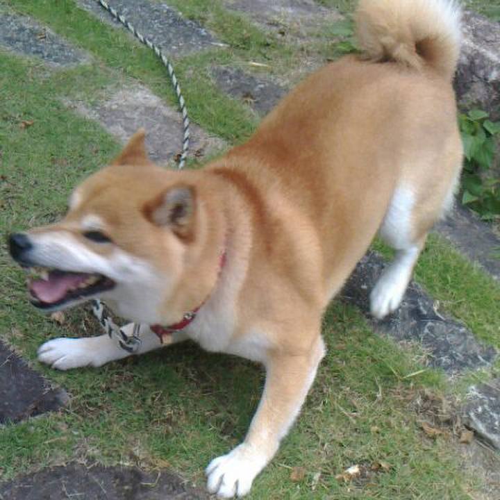 0f1abe40 ef2d 4eb9 a03a a224671a169a