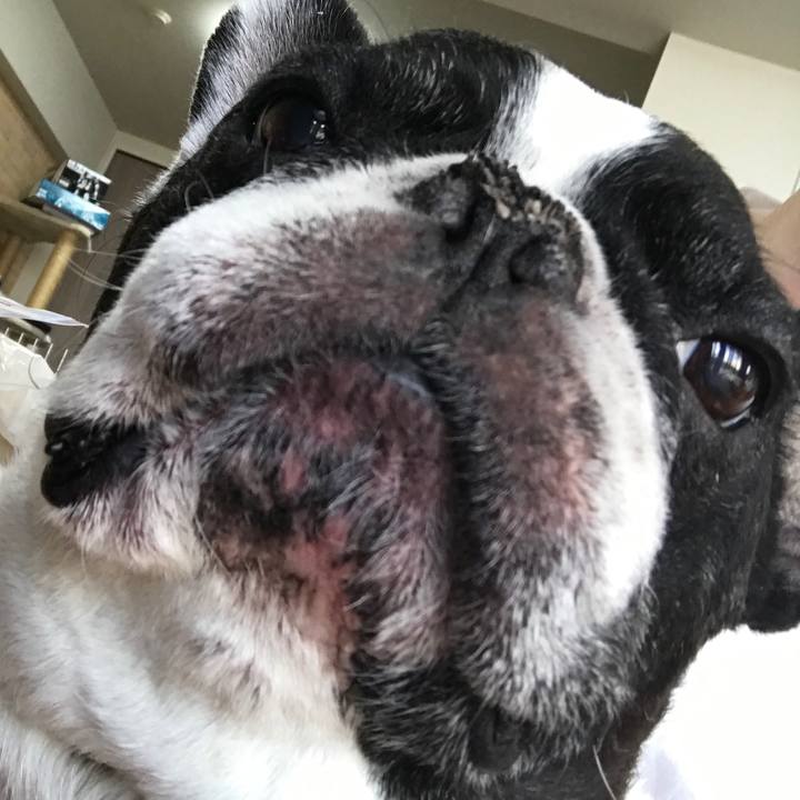 0f1ad0e1 c1e3 4b02 85df 08c01cc64948