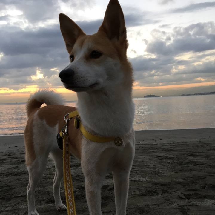 0f1d9482 cfed 4584 9763 07dd41510727