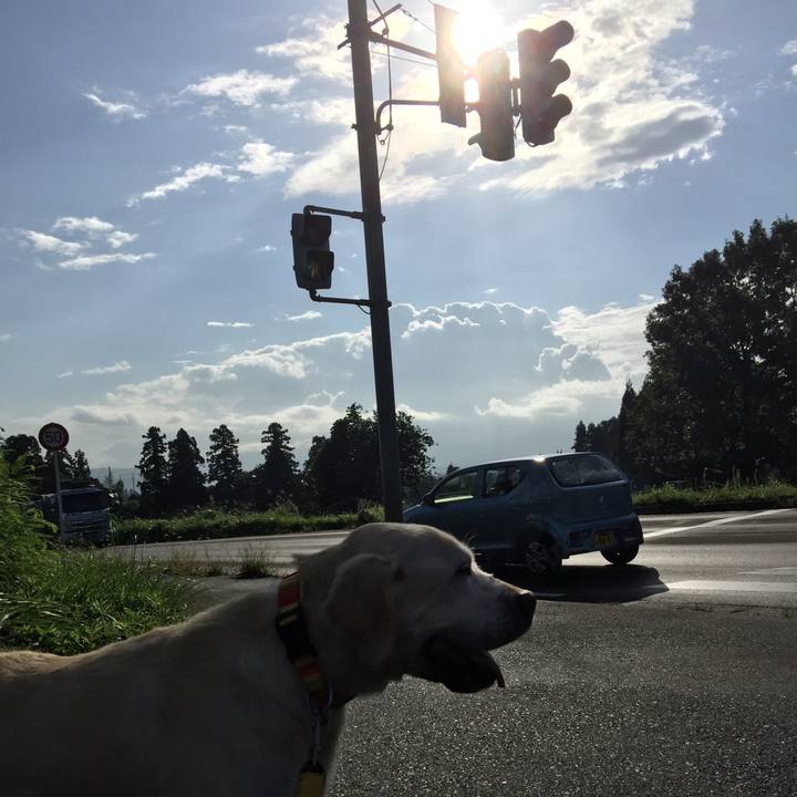 0f1dd962 afc9 44cd bfac 0132262f9c37