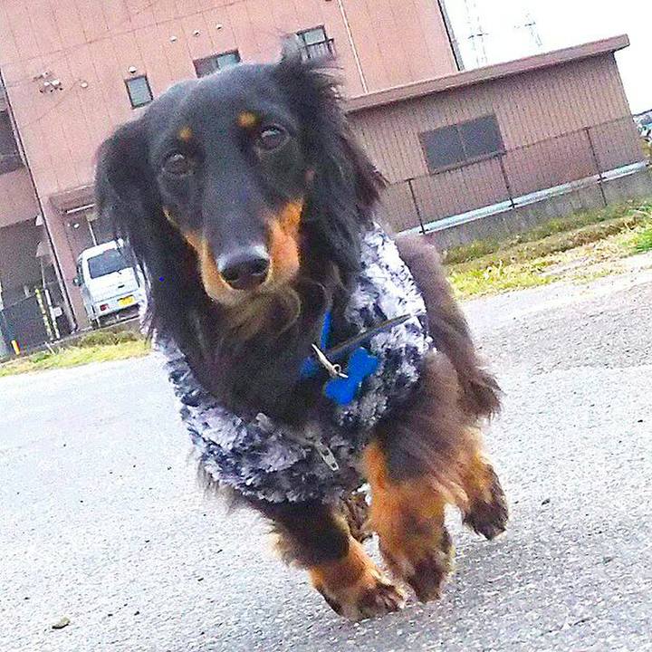 0f1e3371 43e1 47b2 9a01 581fa9207897