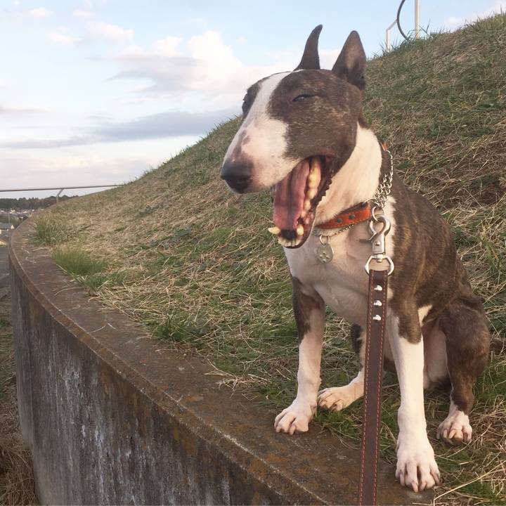 0f1e82e2 38fa 4ad0 9a68 9d34f1ebbe5b