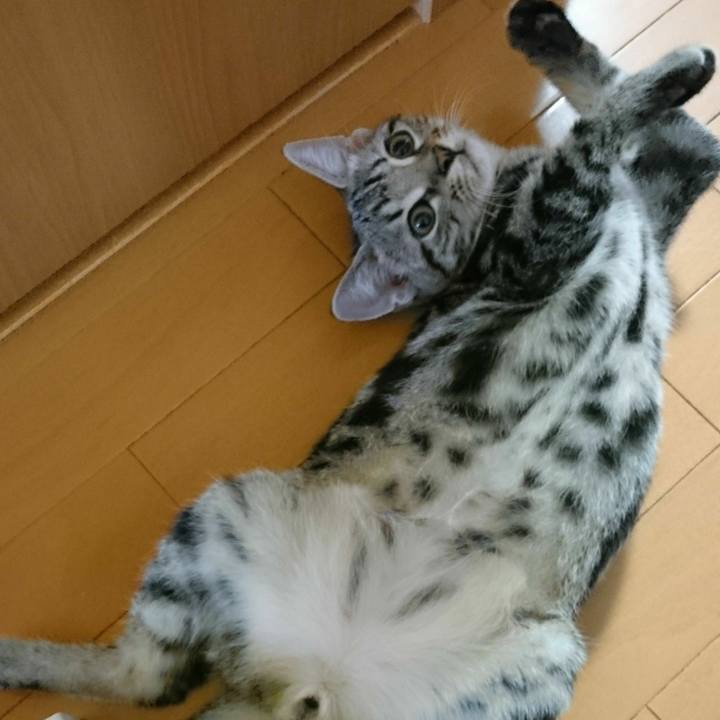 0f1ebb14 9c0e 407a 910c 2d5a94266892