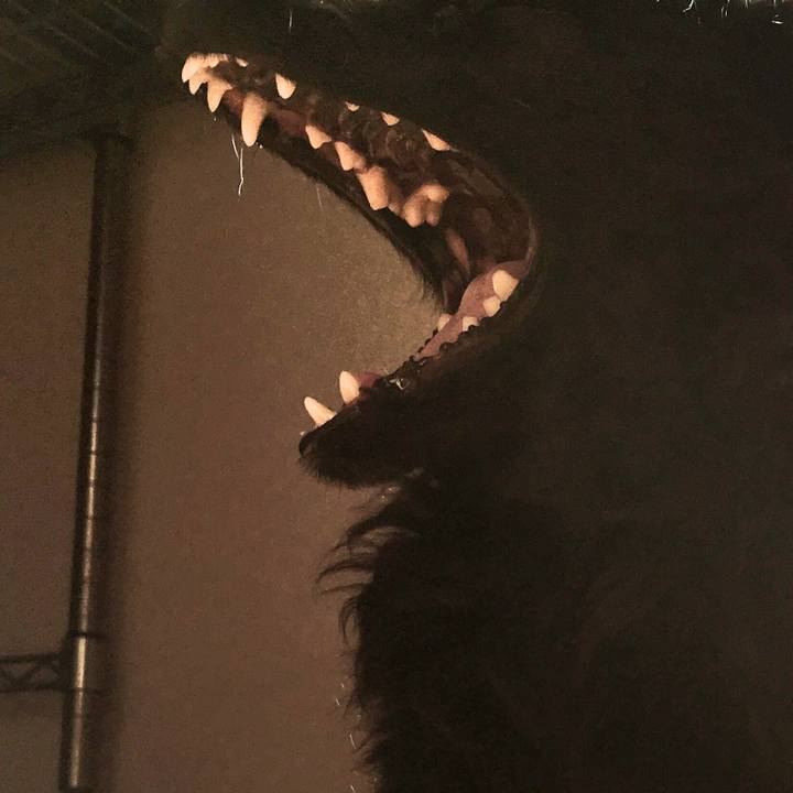 0f1fe11b 7177 4007 8585 6667ebc51f9b