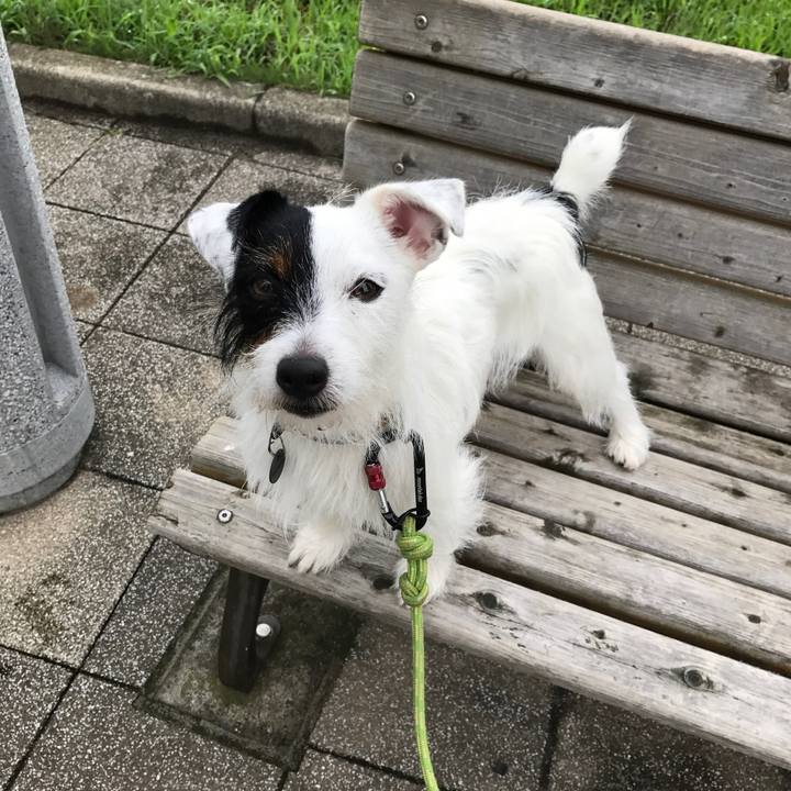 0f1ff45c 7503 40cf b885 cc3b8833ce3b