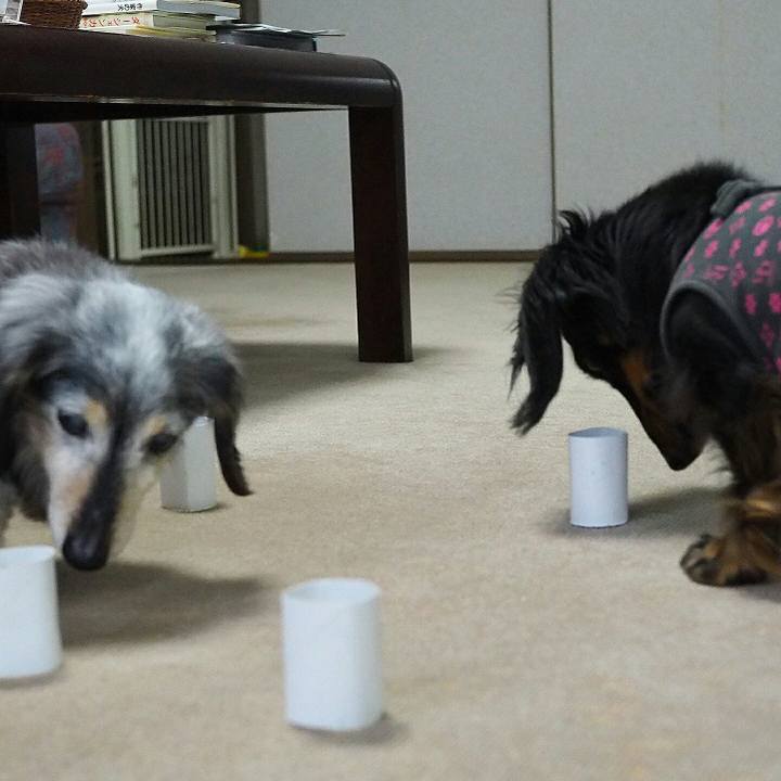 0f204962 d46a 434f 9c78 b48733e0ff88