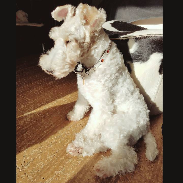 0f2170aa af61 4e55 9f55 5518f580d36b