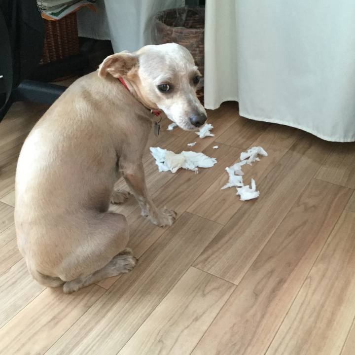 0f21c738 30bf 4506 9bd7 fda2e369f6a6