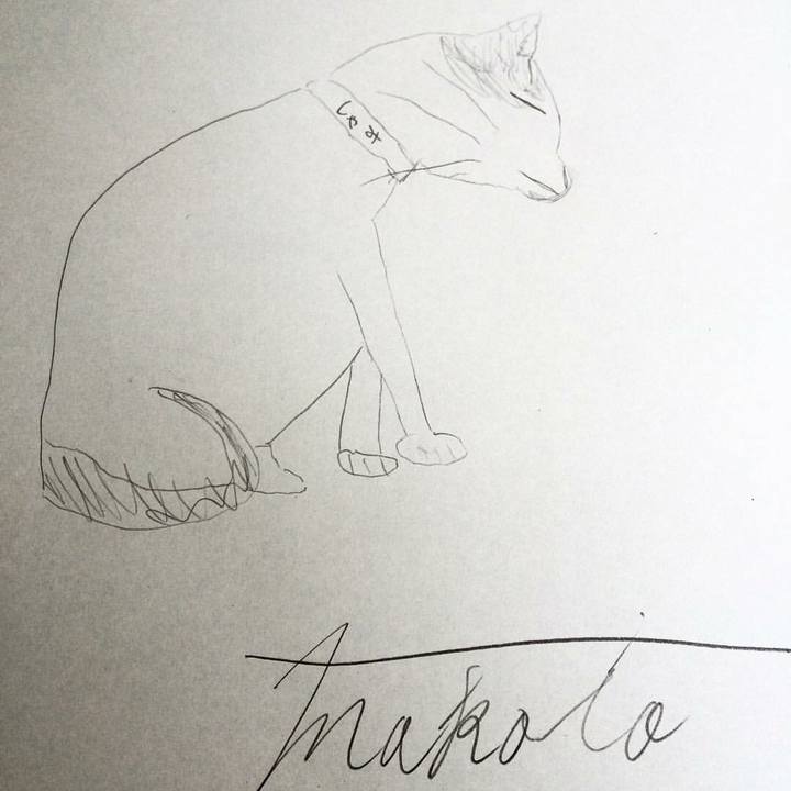 0f223502 17f2 4d6b a206 43e43d553168