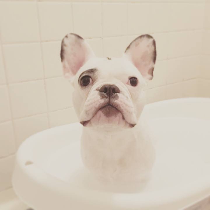 0f2442ad ab4c 4755 810e aa4b3c75c839