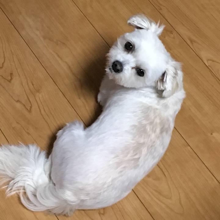 0f248419 ff82 4ed1 934f 8c06f5dfe259