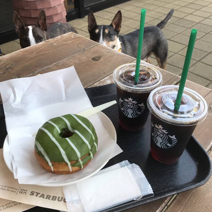 0f254d1f 9b73 4dc0 9063 706be8605c2a