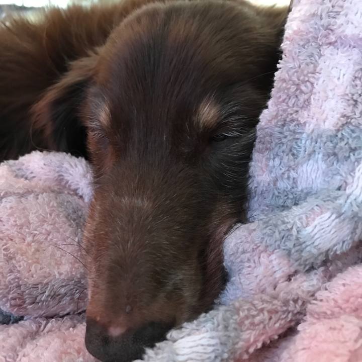 0f2558af 4e30 4e57 8989 4bbc56377e2b