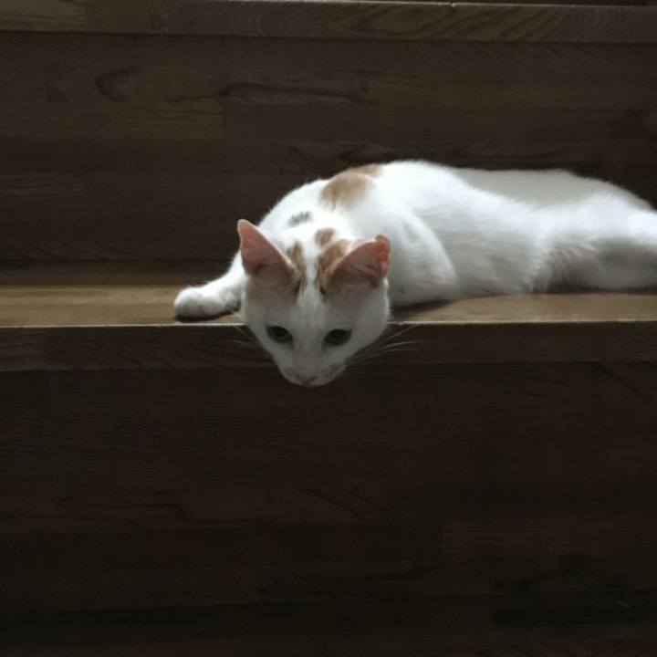 0f255d2e 0e63 4f51 9b5e 0d46d3d24747