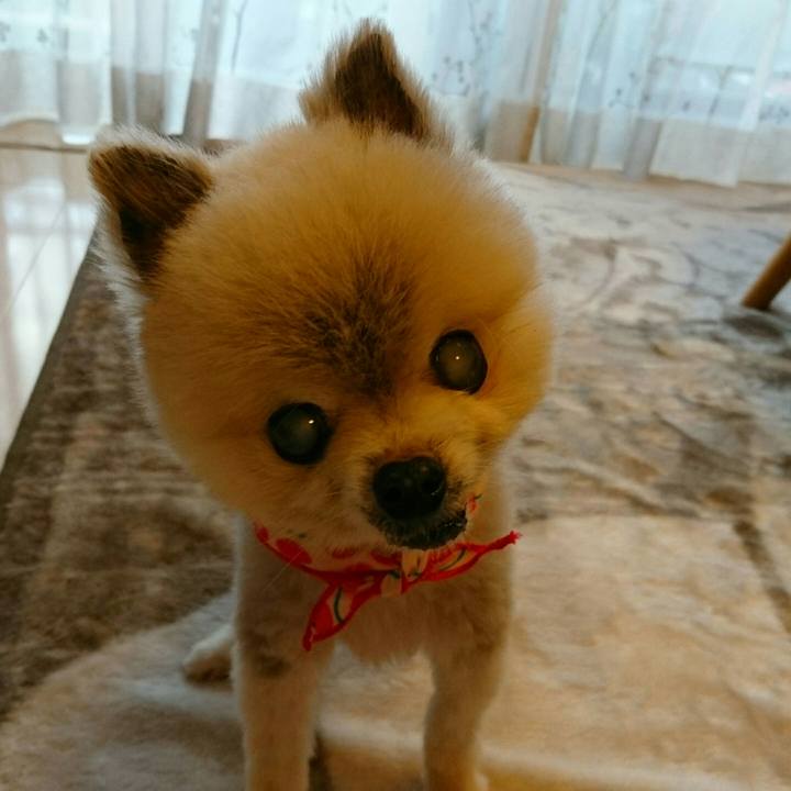 0f25c06d 23a0 494b 9ef7 15a9009eee76