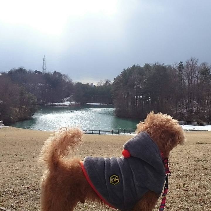 0f25c7fa 585d 4833 bfc0 cc53b8dc00f4