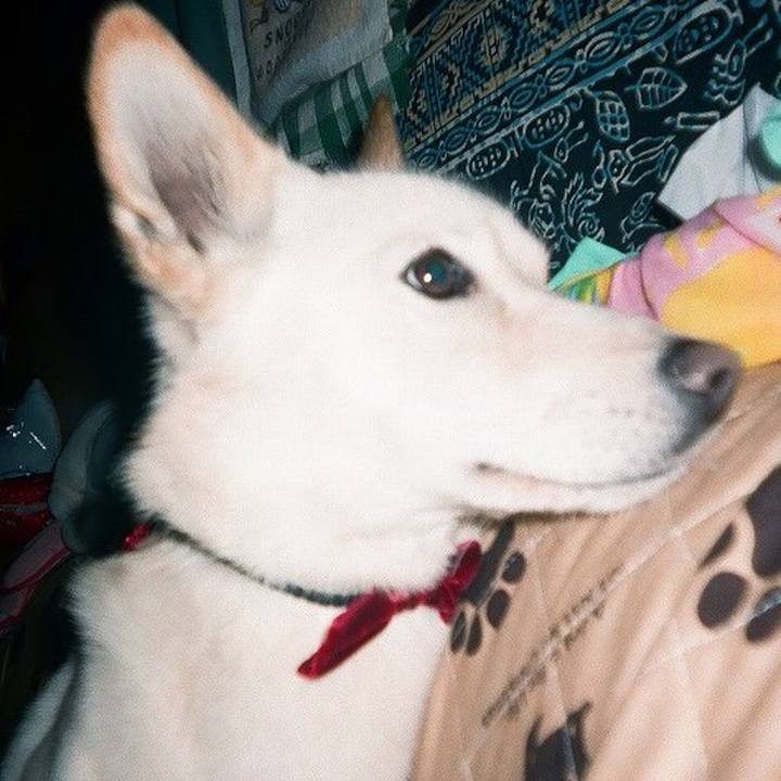 0f25f9e4 053f 49af bfc7 d03afb6acf5c