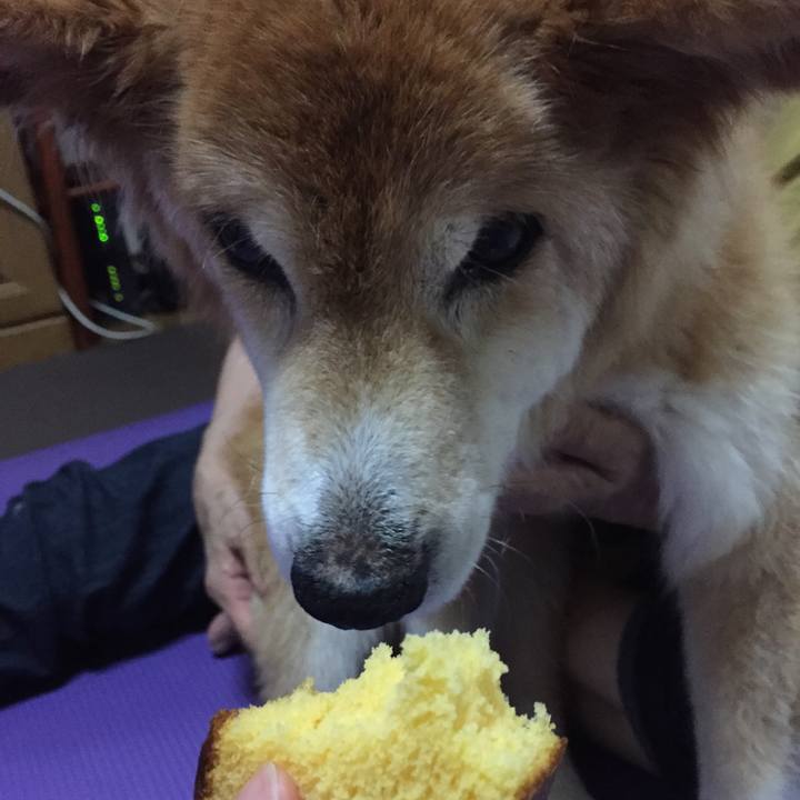 0f25fa25 71b9 4b62 806b b8fd1f736bc7