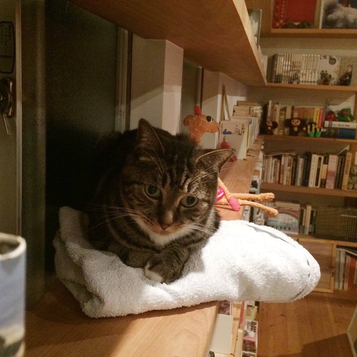 0f26994e 352e 4d14 850e a7807da85da0