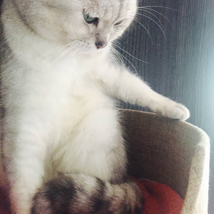 0f2713c2 4660 4819 90e9 844c7a35eb0c