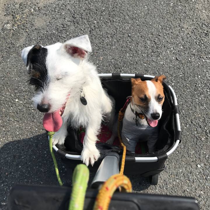 0f273671 55a6 4894 9299 3de35f280dc6