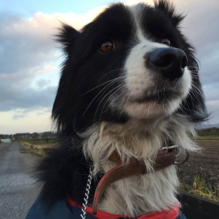 0f277341 df88 466a 87d2 6a121c255a5b