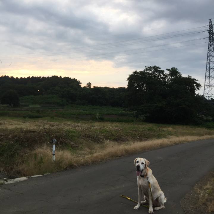 0f277767 60cd 404a 86cc eed86365c0d1