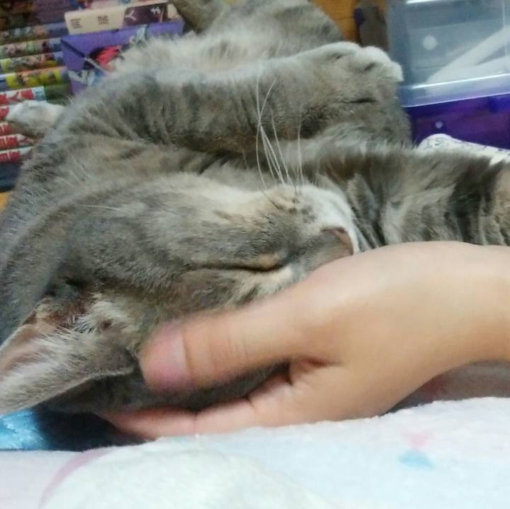 0f27a3ca 618b 4133 8696 6fcc2bec0b36