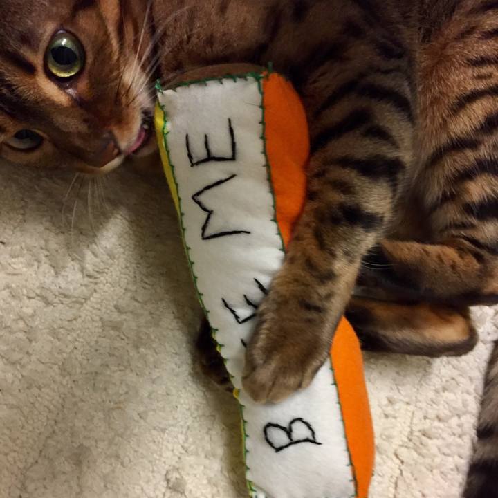 0f27a556 888f 48b2 b839 55395e828ea3