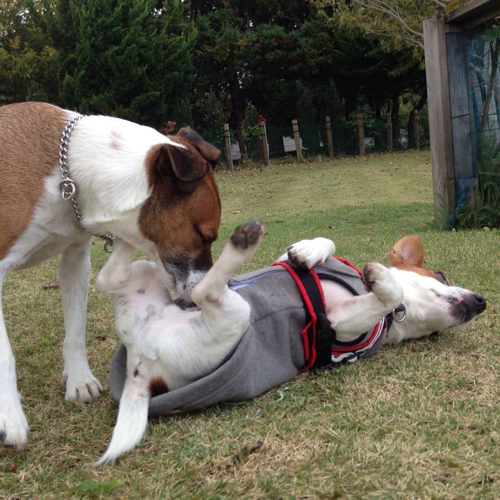 0f28dcd5 6266 4c84 ab67 eb82ac2b4270