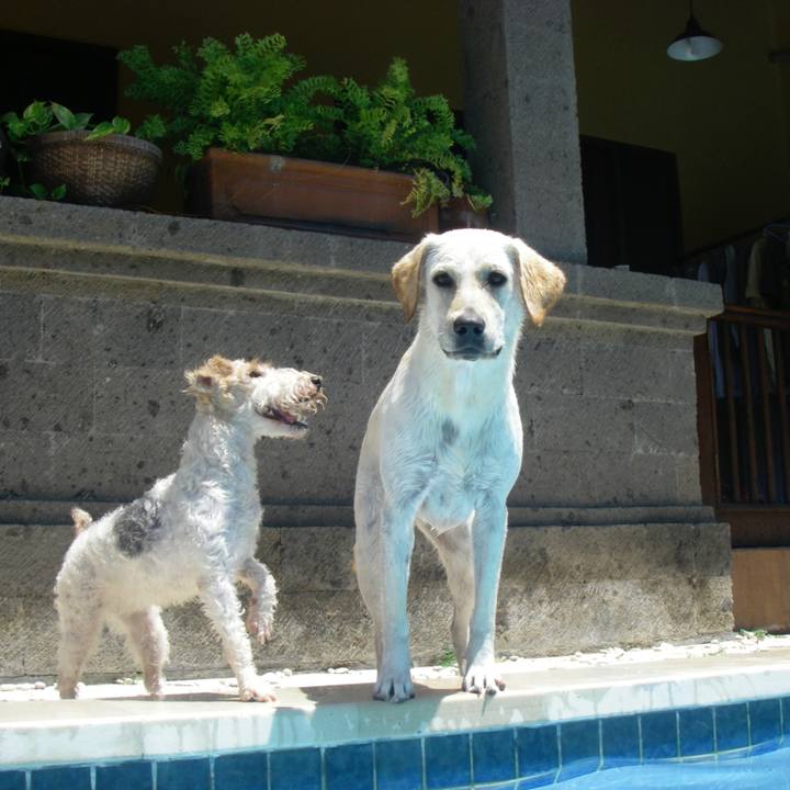 0f29145e 61db 4b51 934e 2af3377af096