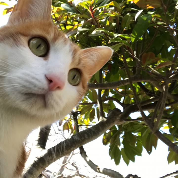 0f29ab49 cb8b 4040 ad17 3c2b7f636ae6