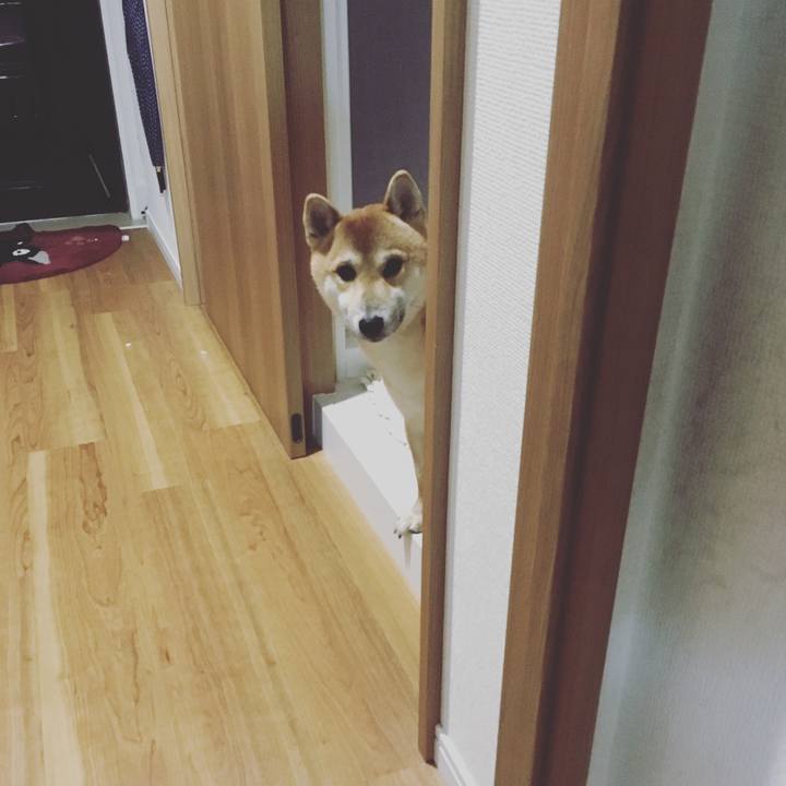 0f2a0709 44ca 4478 8cae 5dec6b938192