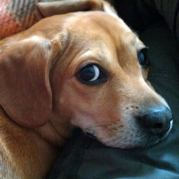 0f2a26bb b145 4d19 a534 b99eda64c438