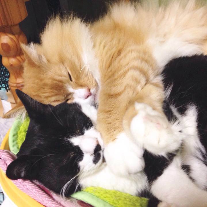 0f2a288f e5e9 42cf 84dc 0ed7a58bc0ba