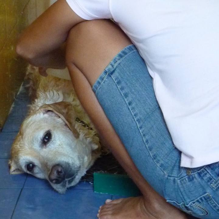 0f2afb0e 9b67 494f a84e cd5f5d947dd7