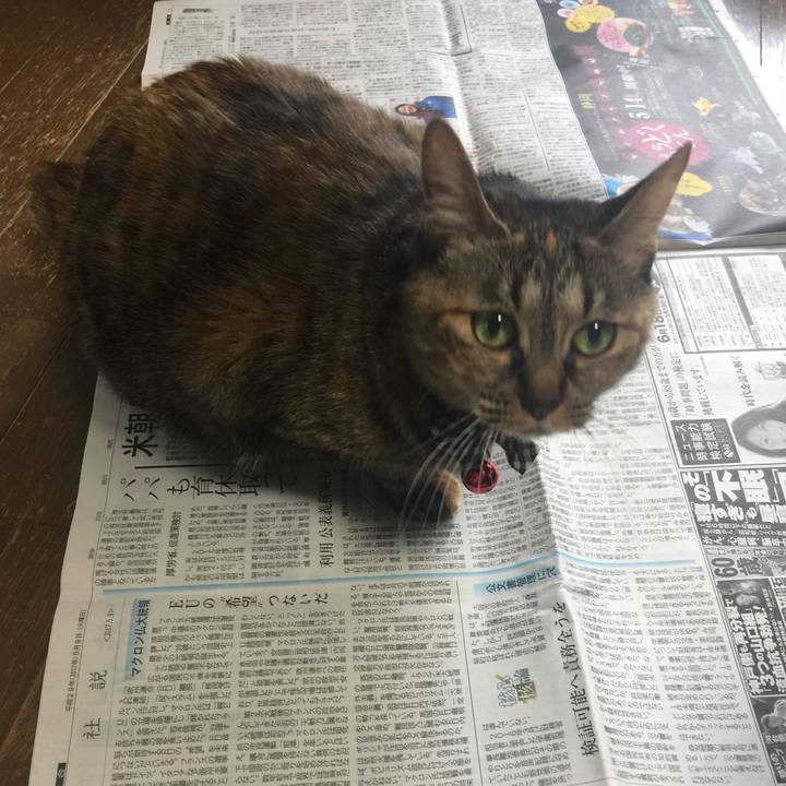 0f2b2e6b f708 4474 95d0 f529a246b500