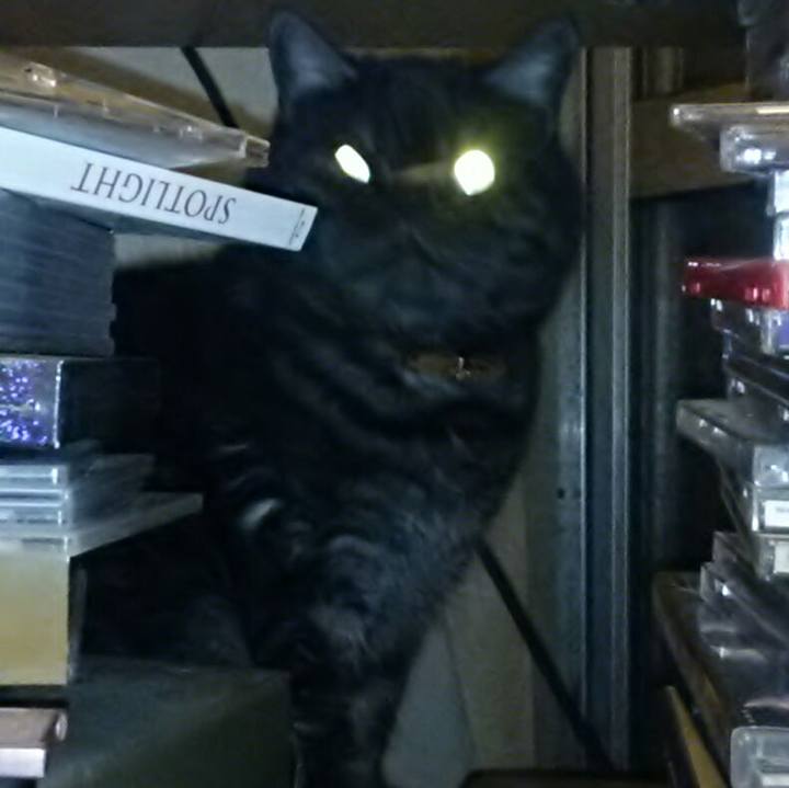 0f2ba880 4d45 4fe2 938f d7e8f3cdb802