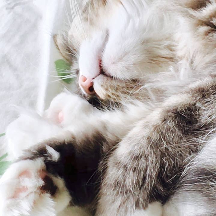 0f2beff3 7668 478a 8d0a 2b4f2ed85fc7