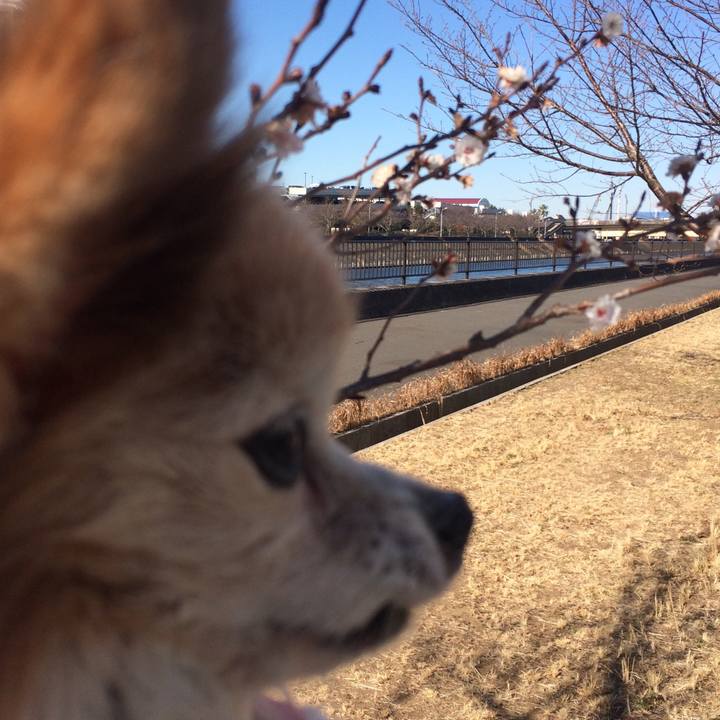 0f2c1366 7f66 443b afca 174cd2b1d6b8