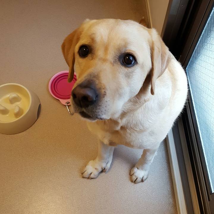 0f2ce2cc 42ff 4745 ae64 896ad25d1e6c