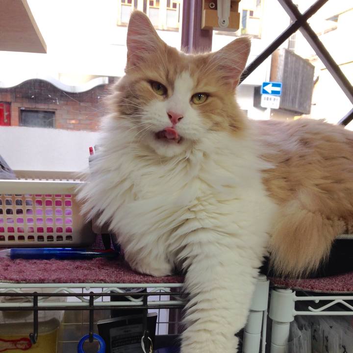 0f2cfffc fc66 4762 ba68 58c399403287