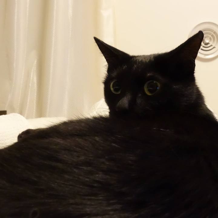 0f2d48de 92d8 40ec af4d 4b9a8b36cbd8