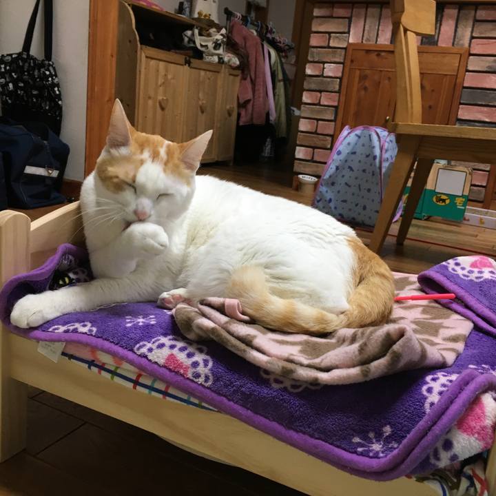 0f2de79c 2ec6 4b42 ab8f 897d2a5f6fe3