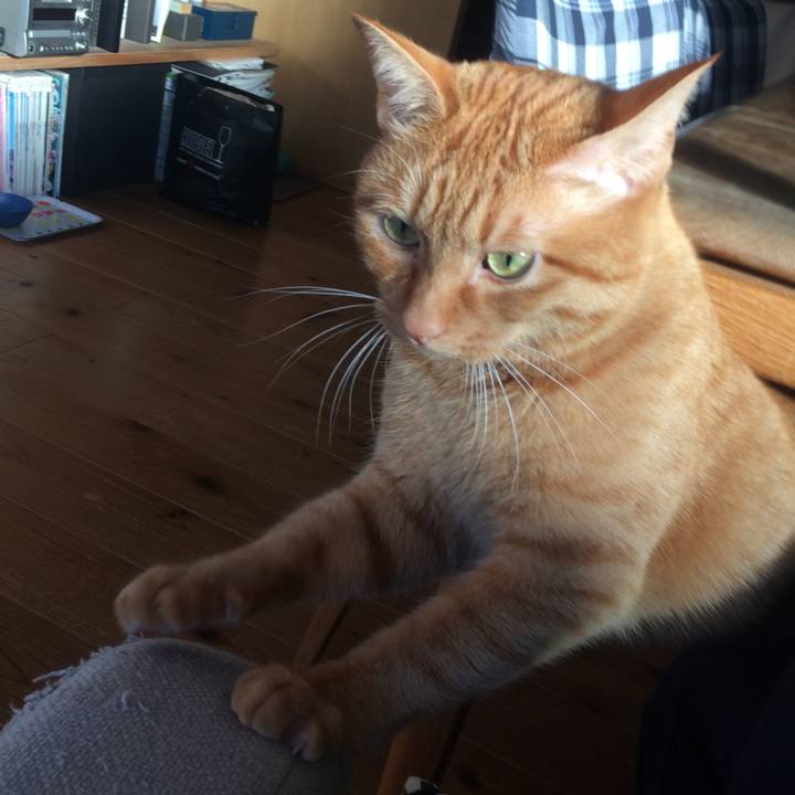 0f2e2f0d 8a4c 4e2f b5d5 69baeea3f8e1